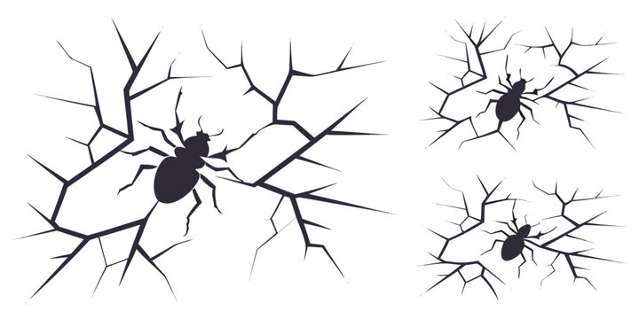 A group of spiders on cracked surfaces Vector