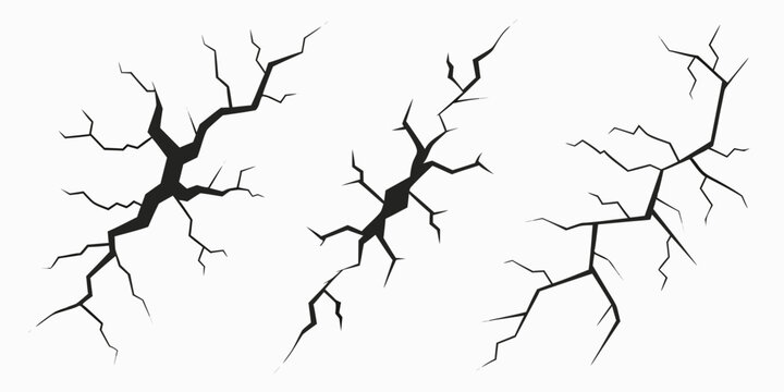 A group of neurons on a white background Vector
