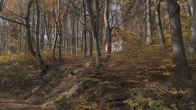 Ungraded LOG Aerial Ascent Revealing Hidden Cabin in Autumn Forest with Golden Foliage