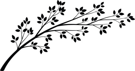 Minimalist black tree branch silhouette with leaves, nature botanical illustration, elegant floral design isolated on white background for decoration © Md