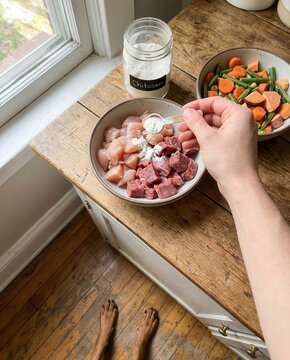 Adding chitosan powder to raw pet food preparation