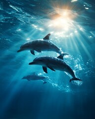 Naklejka premium Dolphins swimming underwater with sunlight rays in clear blue ocean nature scene