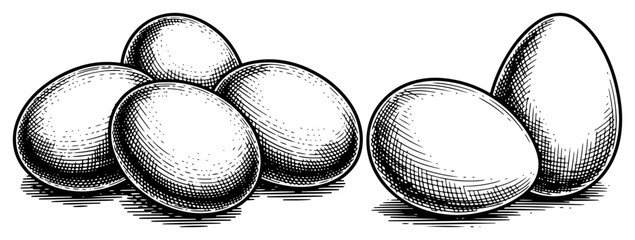 Hand drawn vintage engraving of a group of whole chicken eggs on white background © Amelia