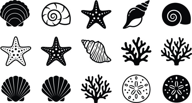 Black silhouette vector icon set featuring seashells, starfish, coral, and sand dollars for marine life, ocean decor, and summer beach themes.