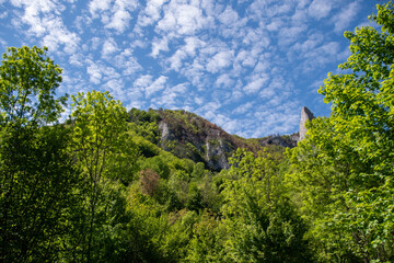 Fototapeta premium Lush green forest with rocky hill under blue sky filled with scattered white clouds
