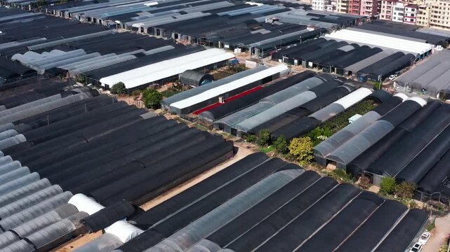 Large-Scale Greenhouse Farming Complex Aerial View