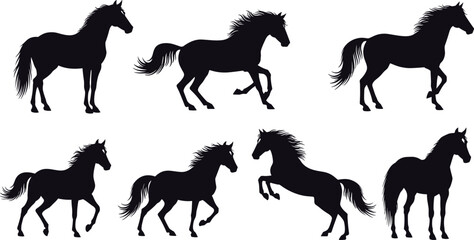 Horse silhouette set in various poses including running, standing and rearing, black vector animal collection isolated on light background