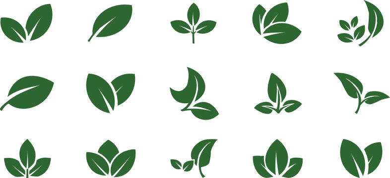 Collection of various green leaves on white background