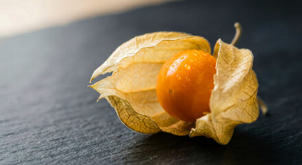Macro Shot of Fresh Golden Berry with Water Drops