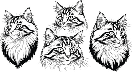Hand drawn cat faces illustration, black and white feline portrait set, detailed line art, domestic animal sketch collection © Manharul