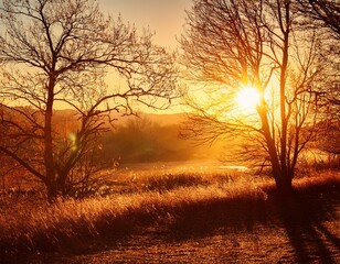 Naklejka premium crisp air golden sunlight through bare branches season background