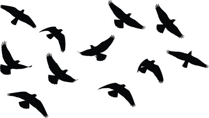 Black silhouette birds flying in formation, dynamic flock illustration, nature wildlife vector design, outdoor freedom theme, minimalist artistic concept