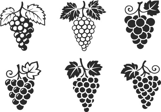  collection of elegant black and white  vector icons for fruits, vineyards, trees, and organic farming concepts featuring various grape bunches, leaves, and wine.