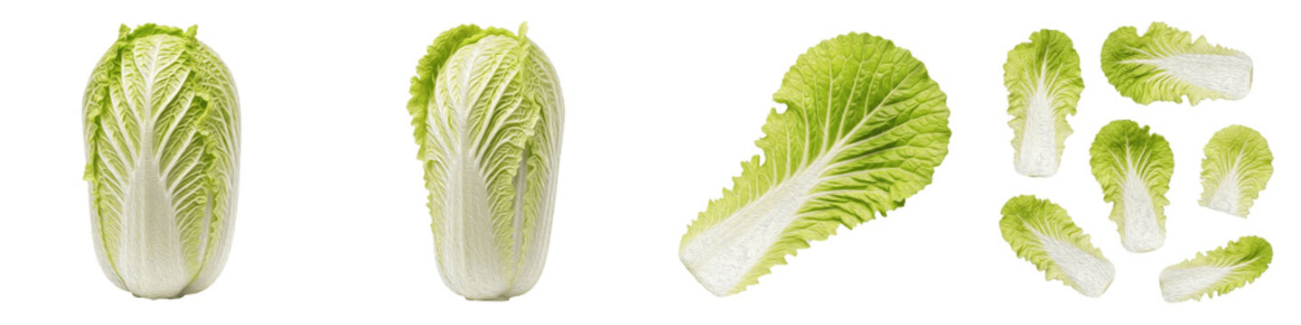 Fresh Napa Cabbage Collection, Organic Whole and Sliced Chinese Cabbage, Healthy Green Leafy Vegetable Set, High Quality Ingredient Isolated on White Background PNG