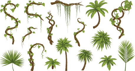Tropical jungle elements set with palm trees and hanging vines, cartoon forest plants collection for game design assets © Hanif World