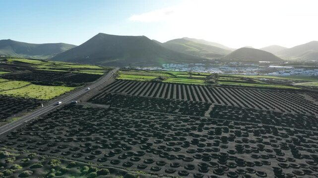 Explore Lanzarote La Geria wine region from above