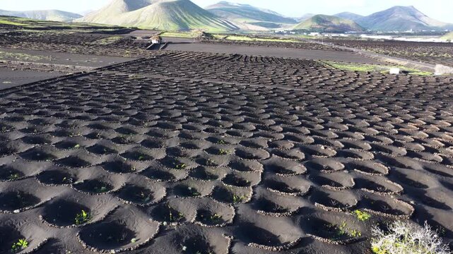 Lanzarote's La Geria volcanic vineyards unique landscape