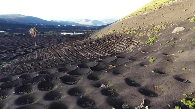 Lanzarote La Geria unique volcanic vineyard landscape