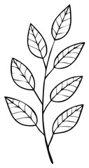 Fototapeta premium Elegant Branch with Leaves Outline Illustration Simple Floral Design Botanical Drawing Black and White Leaf Silhouette Vector Art