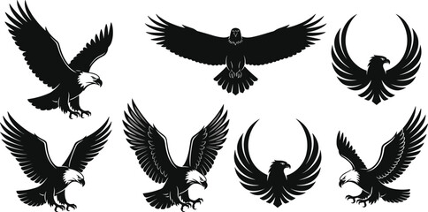 Obraz premium Eagle silhouettes vector illustration, bald eagle and black bird poses, decorative wings spread artwork, powerful animal design elements collection