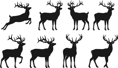 Fototapeta premium Set of black bear head illustrations with aggressive and calm expressions, grizzly mascot for forest wildlife logo, cad drawing flat vector illustration, animal