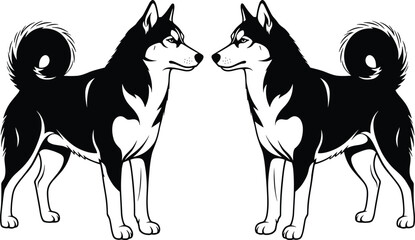 Set of black and white Siberian Husky dog silhouettes, standing sled dog profile for pet logo design, cad drawing flat vector illustration, animal mascot © Shree