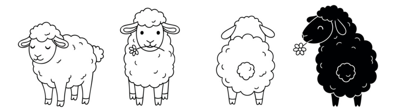 Cute line art and silhouette sheep set featuring a black sheep and white sheep in various poses for farm animal and kids' illustrations