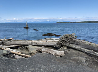 Driftwood on a rocky coast and a light buoy © Lynda Potter