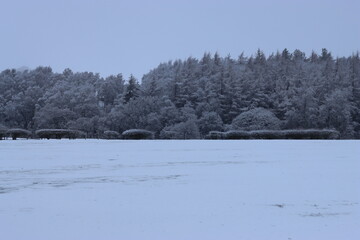 Snow covered countryside in winter