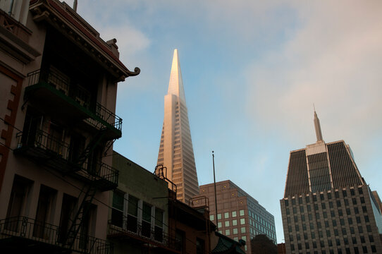 USA, California, San Francisco, Transamerica Building.