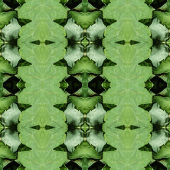 Seamless pattern. Plants. Seamless ornament of leaves. Seamless pattern collage for cotton fabric. For web design. Print for wallpaper, T-shirts, linens or wrapping, textile.