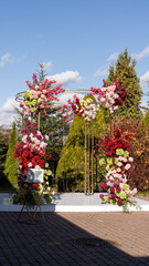 Fototapeta premium wedding summer colorful romantic flower arch and arrangement in pink, purple, burgundy and green tones. hydrangea, roses, sakura, leucadendron, gerbera, chrysanthemum