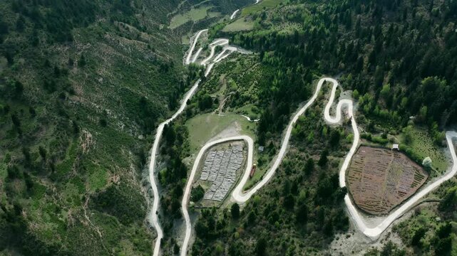 Winding Alpine Mountain Pass Through Forest - Aerial View