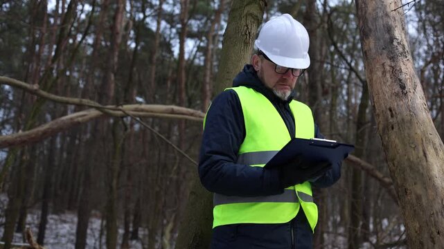 Forest inspector or ecologist evaluating tree health and marking timber for selective cutting in a snowy winter forest. The specialist is conducting a site visit and forest management assessment.