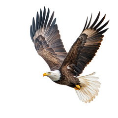 Obraz premium bald eagle flying with wings spread, isolated on transparent background
