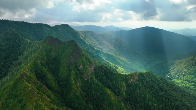 Appalachian mountains in North Carolina with fresh green forest trees in summertime season. Beauty of USA nature.