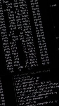 Computer terminal displaying system processes and directory listings on a dark background. Upload python script to a VPS