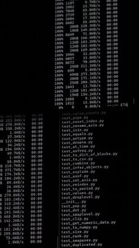 Computer terminal displaying system processes and directory listings on a dark background. Upload python script to a VPS