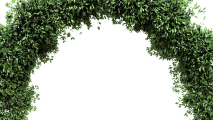 Elegant Green Leaf Archway for Decorative Use