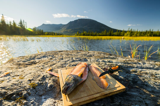 filetierte Bachforelle, Hemsedal, Buskerud, Norwegen