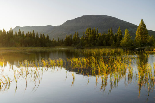 Skogshorn, Helsingvatnet, Hemsedal, Buskerud, Norwegen