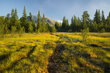 Weg am Helsingvatnet, Hemsedal, Buskerud, Norwegen © Rainer Mirau