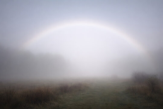 Ultra realistic fogbow forming a soft white arc in dense morning fog over a minimal landscape, calm and atmospheric rare weather phenomenon with muted colors and serene mood.