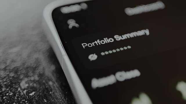 Portfolio Summary actual financial data is obscured by asterisks, protection for sensitive information