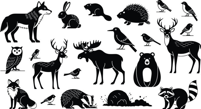 Forest animals silhouette set, wolf, rabbit, beaver, porcupine, owl, fox, deer, moose, bear, raccoon, birds theme - flat vector illustration