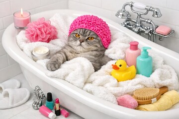 Pampered Cat in Bathtub: A Luxurious Spa Day at Home