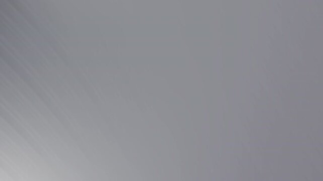 Subtle gray gradient animation with soft fluid transitions, creating a modern and elegant backdrop that evokes a sense of calmness and sophistication.