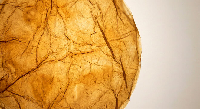 Macro texture of dried bacterial cellulose kombucha leather with translucent amber tones and organic veined structure. Bio-fabricated sustainable material background with copy space