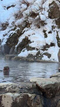 Snow Monkey Park Bathing