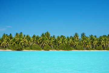 A beautiful tropical beach with white sand, coconut palms and a blue ocean backdrop.